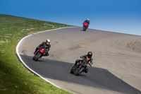 Lower Group Black Bikes